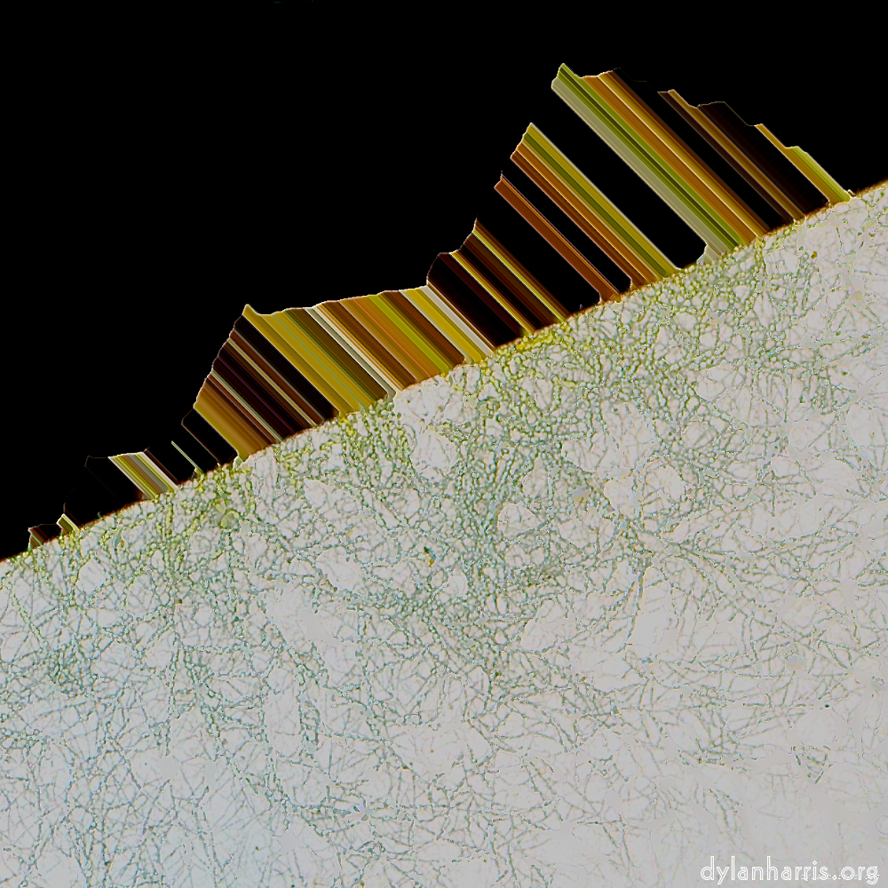 Image: Image 'damage (clxii) 7'.