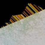 Seventh image from the photoset 'damage (clxii)'.