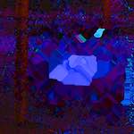 Third image from the photoset 'damage (clxiv)'.