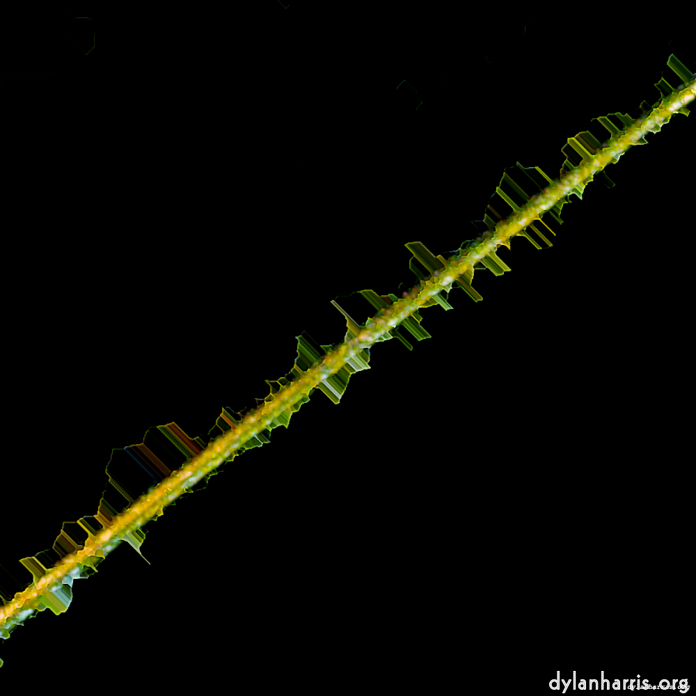 Image: Image 'damage (clxvi) 6'.