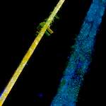 Image: Fourth image from the photoset 'damage (clxvi)'.