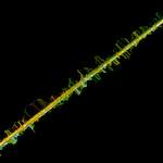 Image: damage (clxvi) photoset