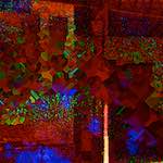 Image: Ninth image from the photoset 'damage (clxvi)'.