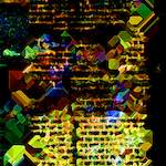 Second image from the photoset 'damage (clxvii)'.