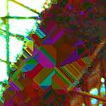 Image: damage (clxxi) photoset