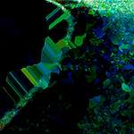 Image: damage (clxxii) photoset