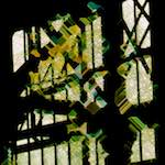 Image: First image from the photoset 'damage (clxxiv)'.