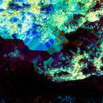 Fifth image from the photoset 'damage (clxxv)'.