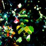 First image from the photoset 'damage (clxxvi)'.