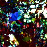 Image: damage (clxxvi) photoset