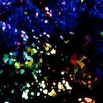 Seventh image from the photoset 'damage (clxxvi)'.