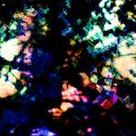 Ninth image from the photoset 'damage (clxxvi)'.