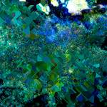 Second image from the photoset 'damage (clxxviii)'.