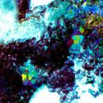 Third image from the photoset 'damage (clxxviii)'.