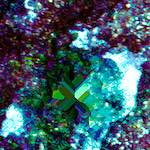 Eighth image from the photoset 'damage (clxxviii)'.