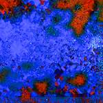 image: Image from the photoset &lsquo;damage (clxxix)&rsquo;.