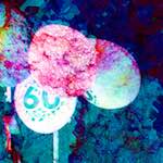 image: Image from the photoset &lsquo;damage (xxv)&rsquo;.