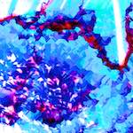 image: Image from the photoset &lsquo;damage (xxv)&rsquo;.