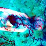 image: Image from the photoset &lsquo;damage (xxvii)&rsquo;.