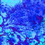 image: Image from the photoset &lsquo;damage (xxviii)&rsquo;.