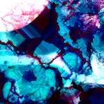 image: Image from the photoset &lsquo;damage (xxix)&rsquo;.