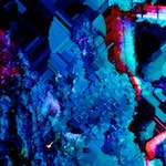 image: Image from the photoset &lsquo;damage (xxx)&rsquo;.