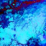 image: Image from the photoset &lsquo;damage (xxxix)&rsquo;.