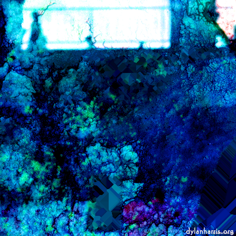 image: This is &lsquo;damage (xl) 5&rsquo;.