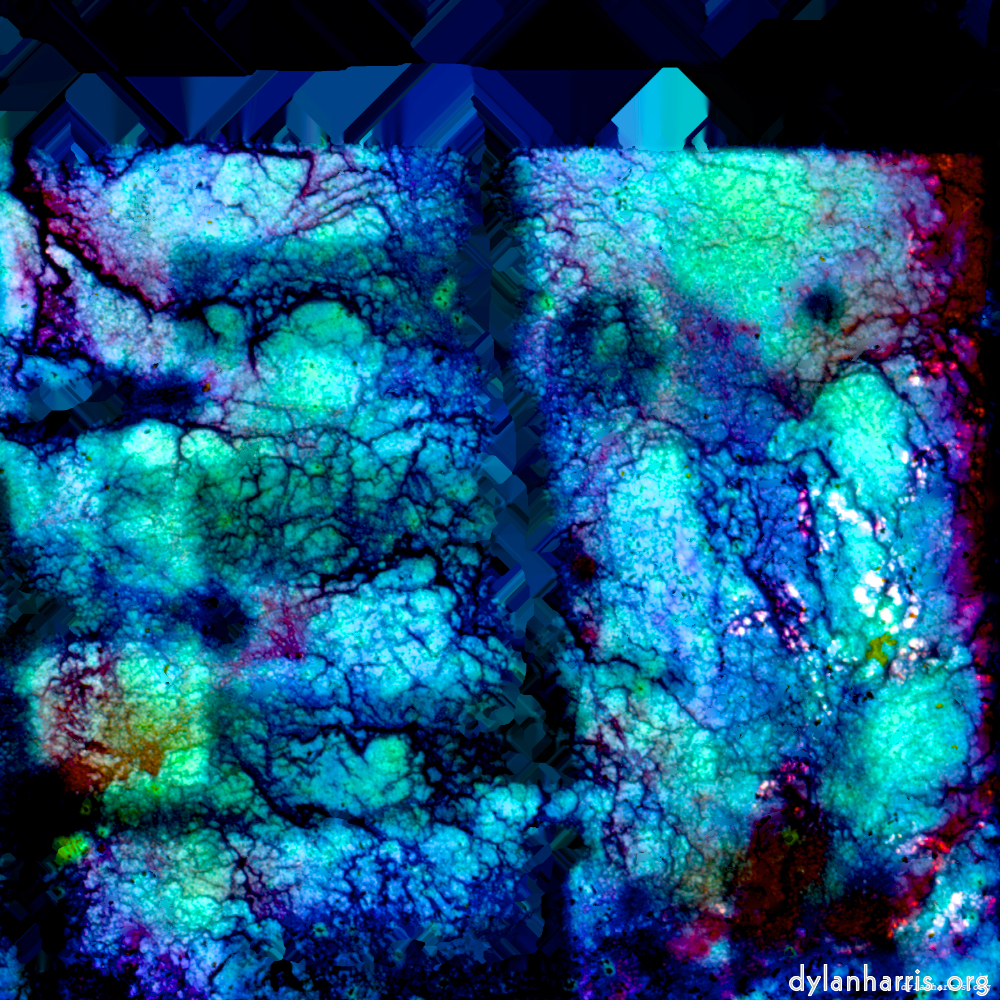 image: This is &lsquo;damage (xl) 9&rsquo;.