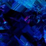 image: Image from the photoset &lsquo;damage (xl)&rsquo;.