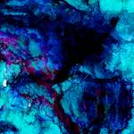 image: Image from the photoset &lsquo;damage (xl)&rsquo;.