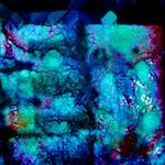 image: Image from the photoset &lsquo;damage (xl)&rsquo;.