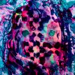 image: local&nbsp;elections