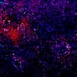 image: Image from the photoset &lsquo;damage (xliii)&rsquo;.