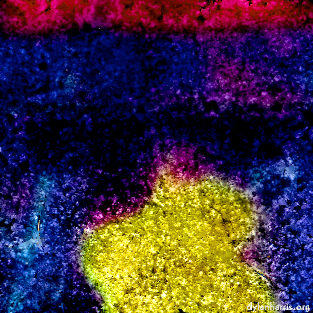 image: This is &lsquo;damage (xliv) 4&rsquo;.