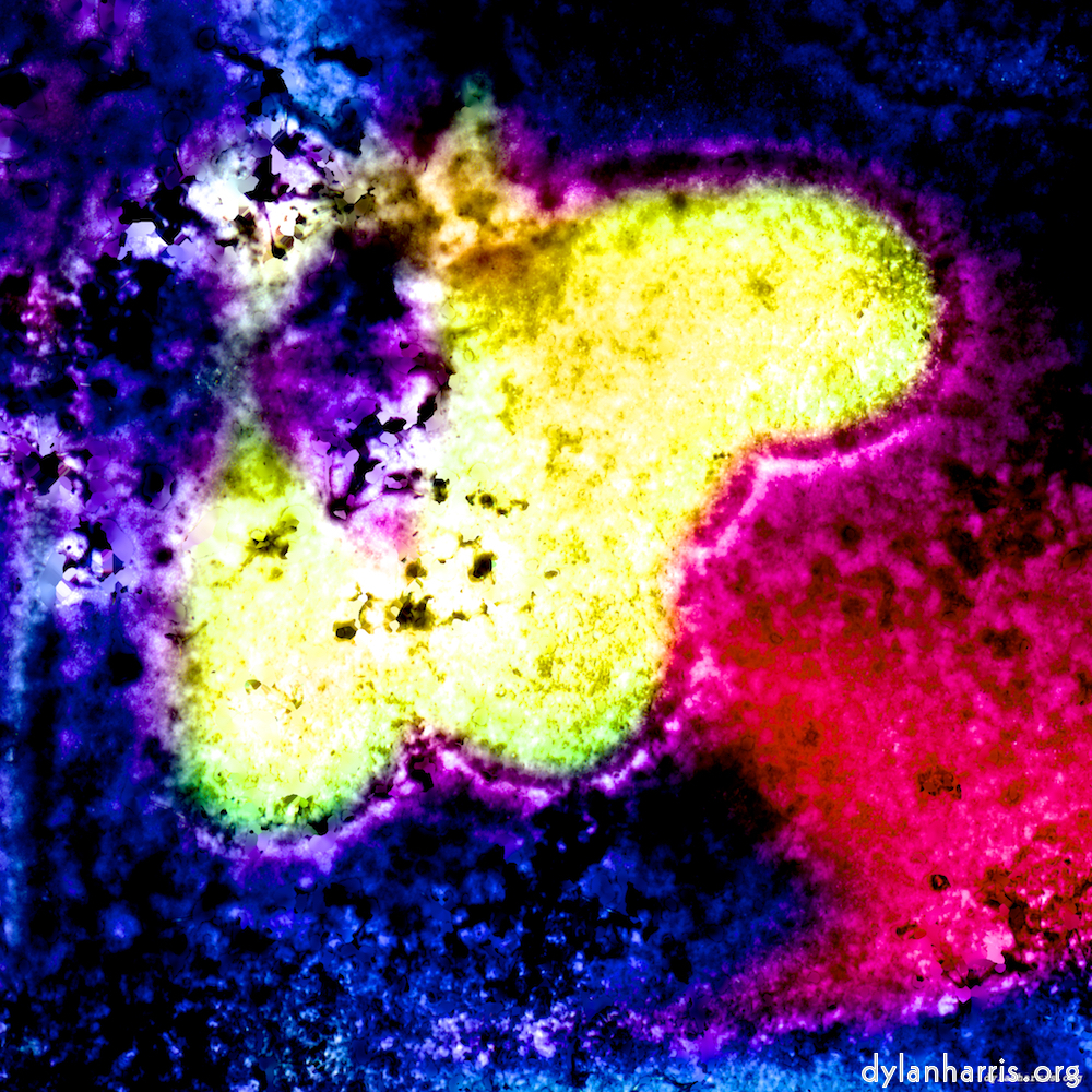 image: This is &lsquo;damage (xliv) 6&rsquo;.