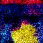 image: Image from the photoset &lsquo;damage (xliv)&rsquo;.