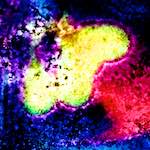 image: Image from the photoset &lsquo;damage (xliv)&rsquo;.