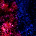 image: Image from the photoset &lsquo;damage (xliv)&rsquo;.