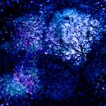 image: Image from the photoset &lsquo;damage (xlv)&rsquo;.