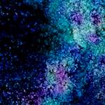 image: Image from the photoset &lsquo;damage (xlv)&rsquo;.