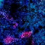 image: Image from the photoset &lsquo;damage (xlv)&rsquo;.