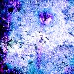 image: Image from the photoset &lsquo;damage (xlv)&rsquo;.