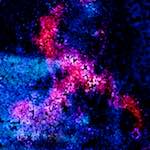 damage 41&ndash;60 photosets