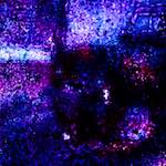 image: Image from the photoset &lsquo;damage (xlvi)&rsquo;.