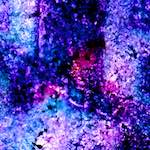 image: Image from the photoset &lsquo;damage (xlvi)&rsquo;.