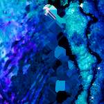 image: Image from the photoset &lsquo;damage (xlvii)&rsquo;.