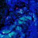 image: Image from the photoset &lsquo;damage (xlvii)&rsquo;.