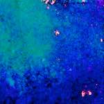 image: Image from the photoset &lsquo;damage (xlvii)&rsquo;.