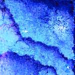 image: Image from the photoset &lsquo;damage (il)&rsquo;.